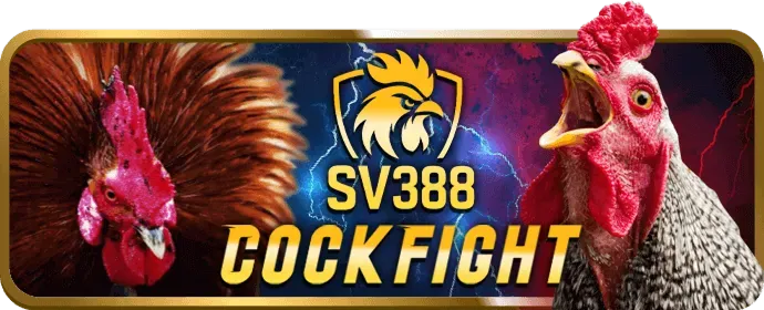 Hỗ trợ khách hàng 24/7 của Hwin